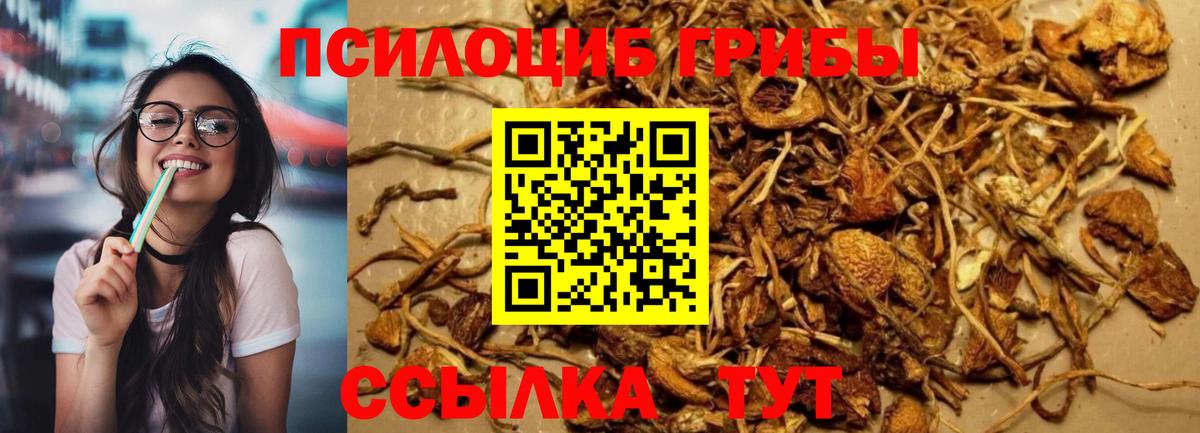 где можно купить наркотик  Псилоцибиновые грибы мицелий  Вход с VPN  Луга 