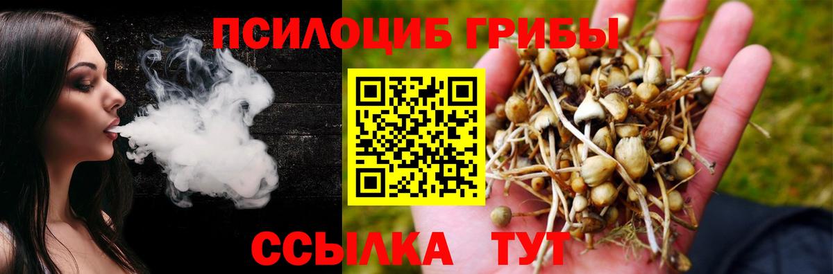 Псилоцибиновые грибы ЛСД Луга